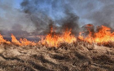В Эстонии начался пожар в поле из-за падения беспилотника на учениях