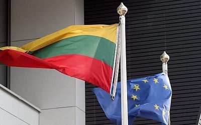 В Литве вновь провалился референдум по двойному гражданству