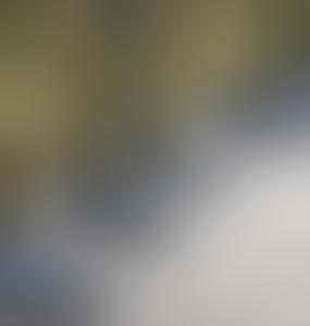 Эстония начинает крупную операцию по защите воздушного пространства