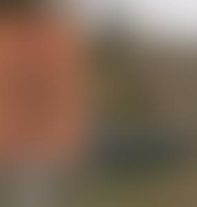 В Латвии назвали дату завершения строительства укреплений на восточной границе